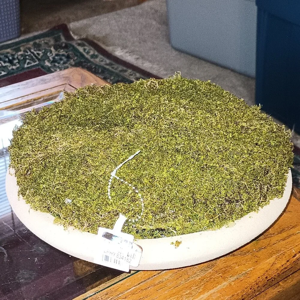 NEW Threshold - Faux Moss Bowl Green